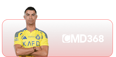 Cmd368 (1)